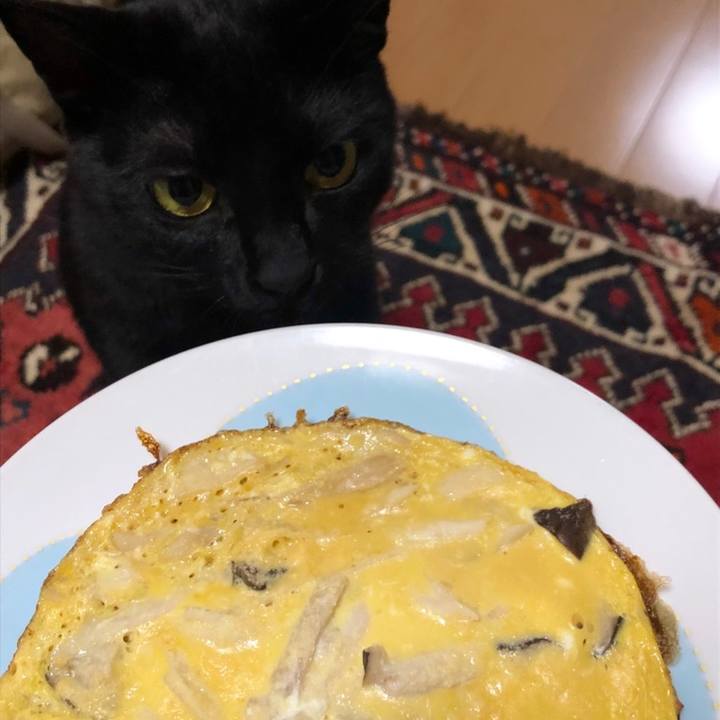 3ed054f4 513c 4e09 b73e bb155acf5bec 1559393287704