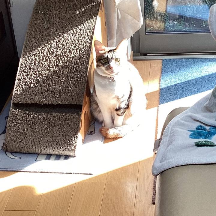 3ed0adf7 f671 42f9 ae07 adcbdf3dd660 1676156222003