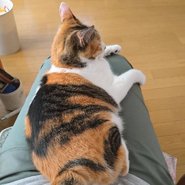 3ed0b8e4 259a 44fd a420 75d3a187fd96 1566187159665