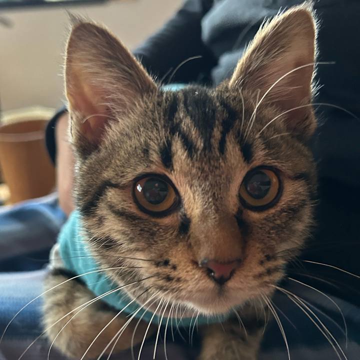 3ed0be80 1080 49ff afc7 4965589037a4 1732317629995