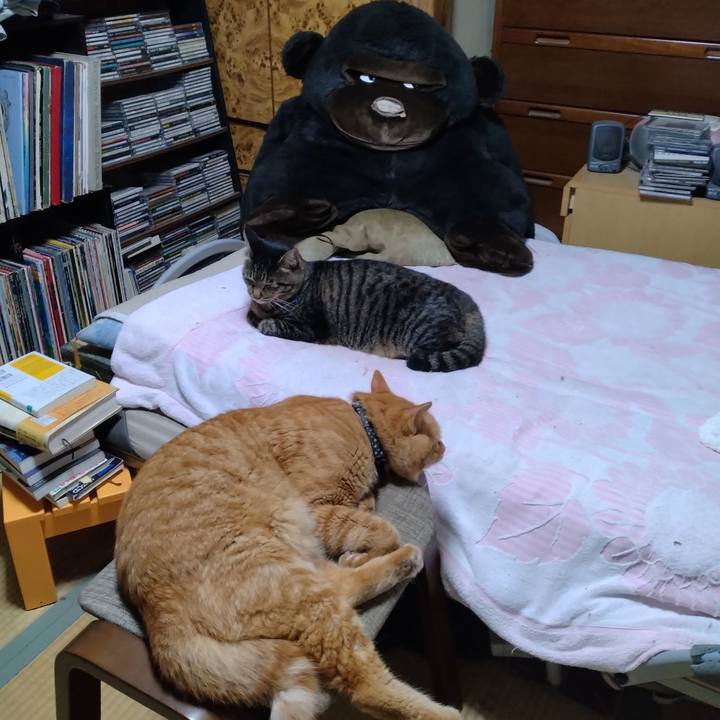 3ed0e21f 67b6 4255 9832 e523b517401c 1695986713239