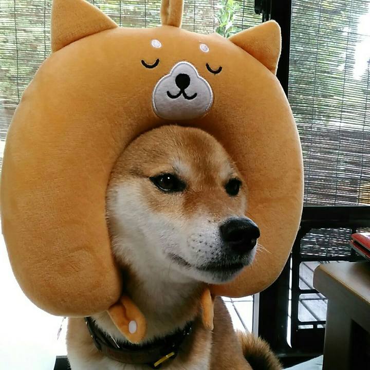 3ed16967 40be 483f 9a95 e401fb01875b 1563246705975