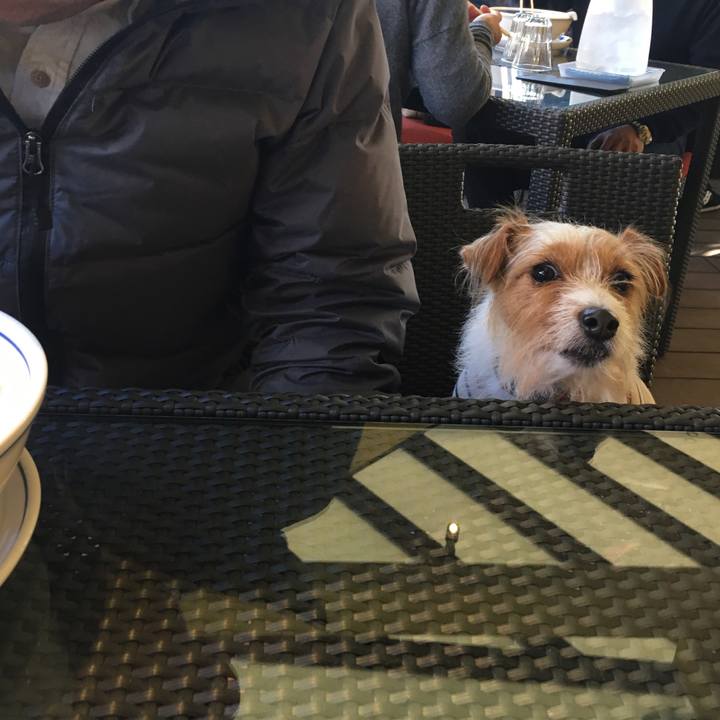 3ed17bef db67 434a 97ab da6ee6c361c3 1511091036649