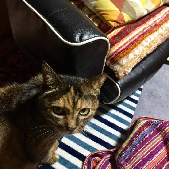 3ed1a14a b544 45d5 9683 923caf6c8d4a 1541329517081