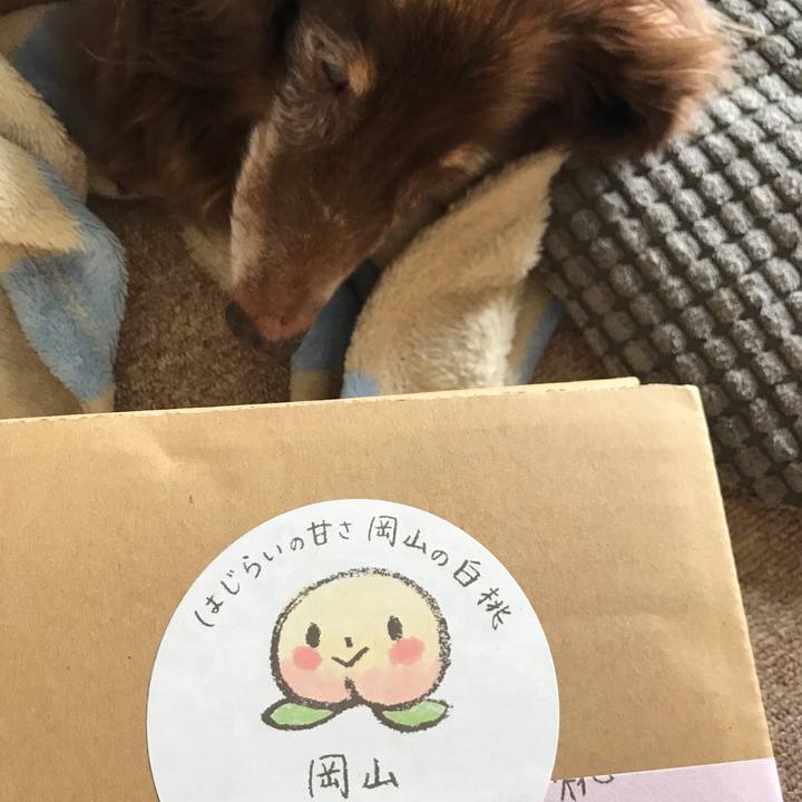 3ed1b89b 0b1e 4747 a265 a77061ee4afc 1562901862899