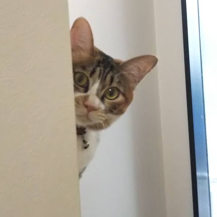 3ed20014 dc1c 4085 9a13 c9d2d3f1ff2e 1689303095531