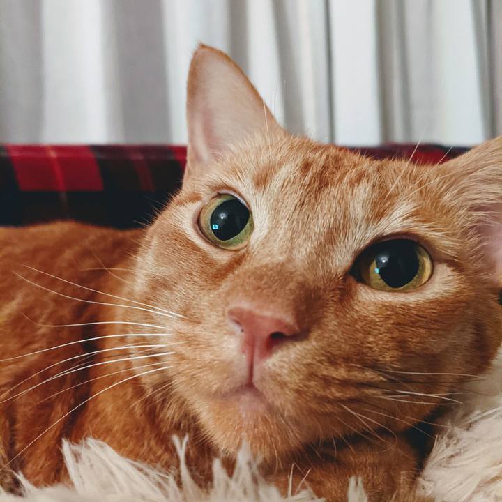 3ed2124c 4a0b 4cdd 86ff bccd81fcafba 1628990611991