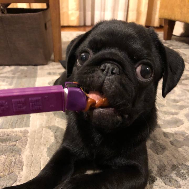 3ed25135 5cbc 4b51 b21d 9722b4d91269 1589931760076