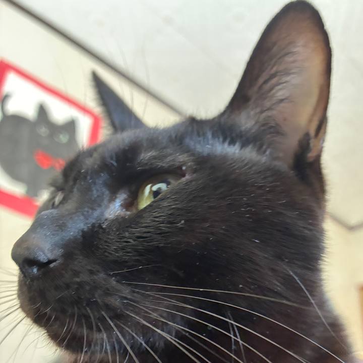 3ed276f6 08d5 4e33 abd7 89ddf9f05702 1771042005498