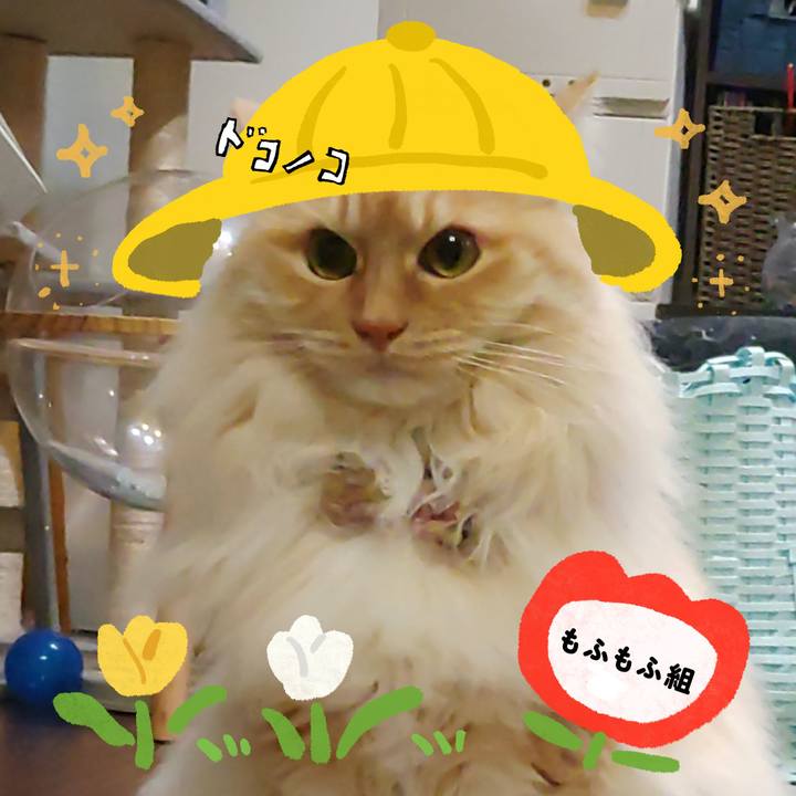 3ed28a0a ca92 4259 8800 d229ea78445e 1712271138206