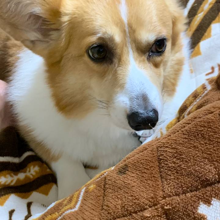 3ed2a09f 5f2b 4357 ae81 36577d01f7b1 1575377819614