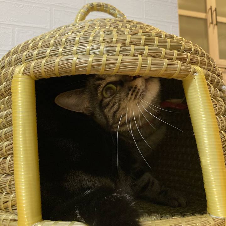 3ed2b54d e31a 45e0 92a0 6efff37154de 1632055674800