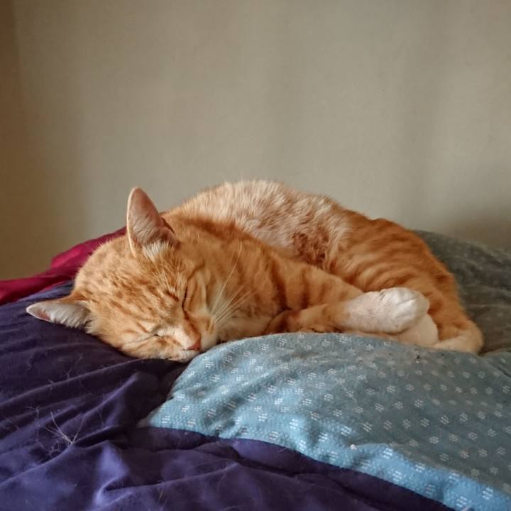 3ed2b5f1 207a 439d bad9 330b7933f750 1588646523124