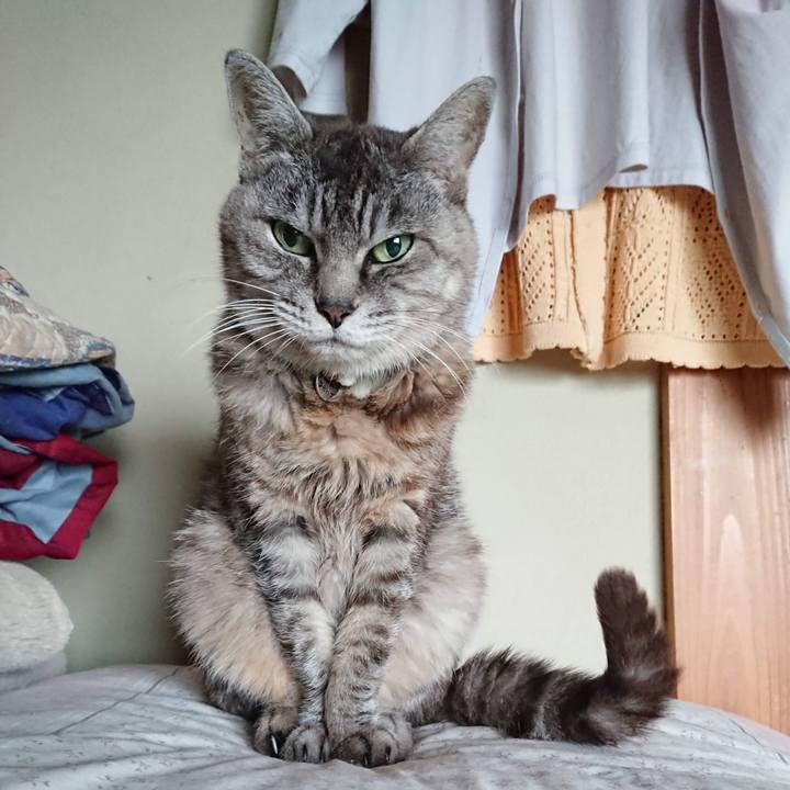 3ed2cee5 04a1 4af8 9966 e26b206ec608 1601497466083