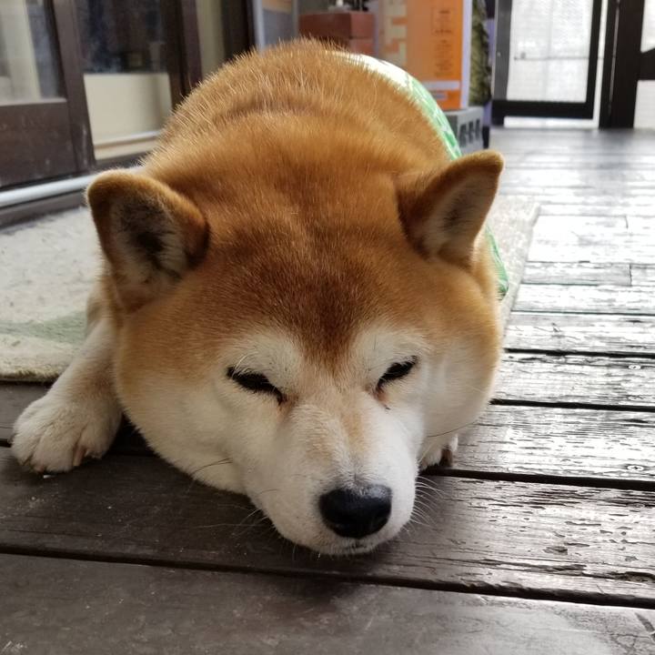 3ed2f82e 7368 4c2b 8931 b182572477ea 1583968220475