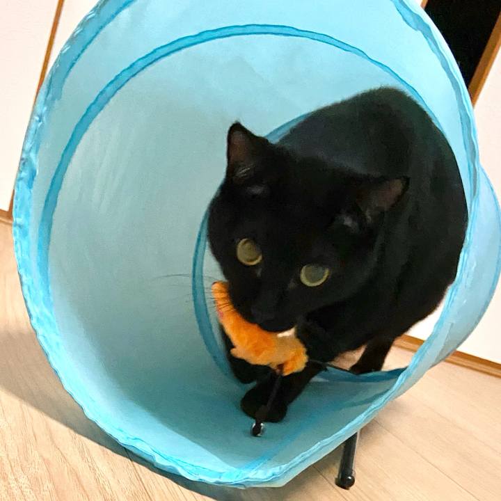 3ed2fc65 33ee 4e60 b17e 341a80275435 1642159695957