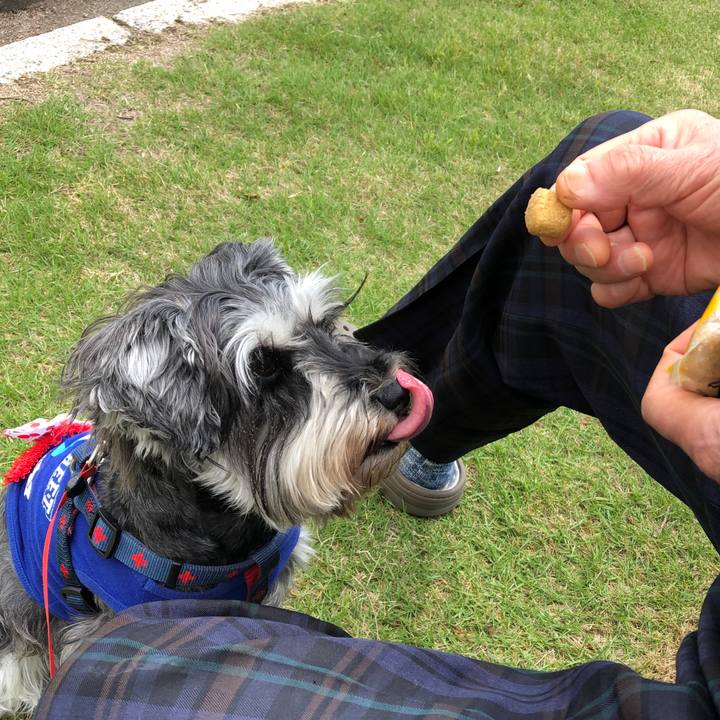 3ed35ca8 a27e 46aa 8173 593ab26d0b68 1622367986822