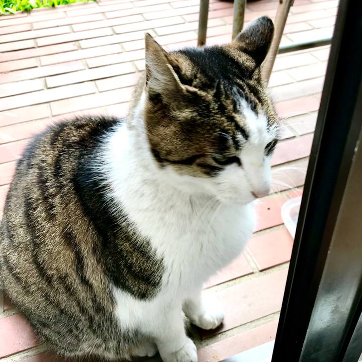 3ed36bc5 ea57 4798 b78b 3eeb9394b726 1515492590650