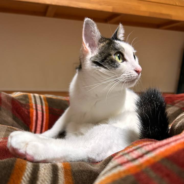 3ed3811c 3af5 4c6c 807e f16d2bd0f4c5 1730730225140