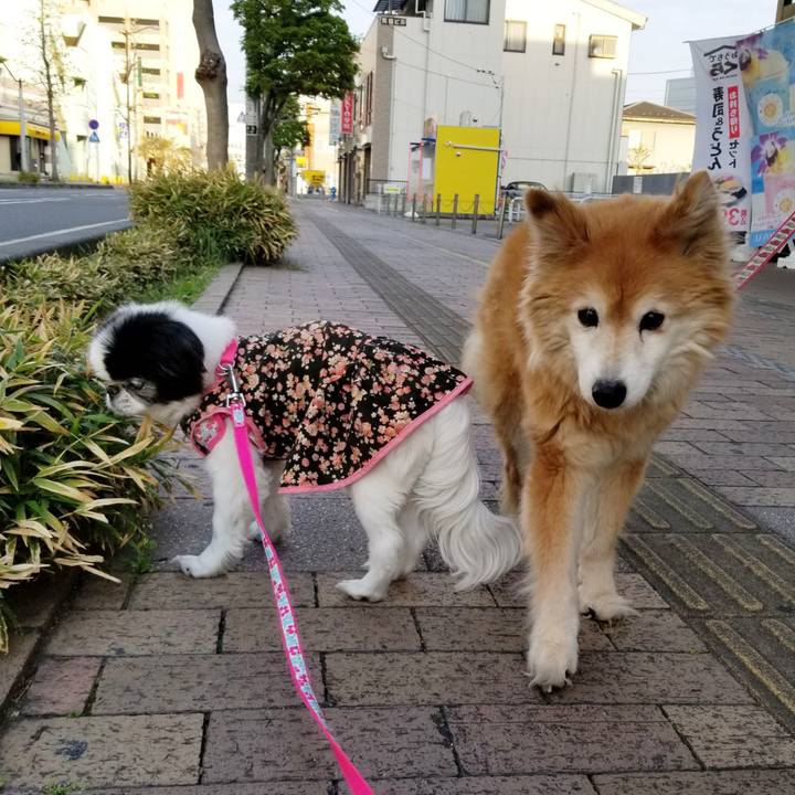 3ed3e47e cd43 47ea 8371 f758cb749962 1618737635199