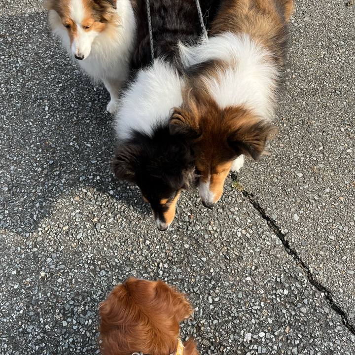 3ed41c91 88b2 42ea 8a74 7d82960f0083 1759707878132