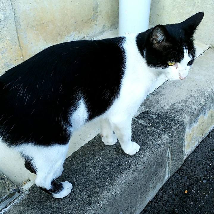 3ed42bc6 a986 45cb a929 6844e40306b6 1509080421975