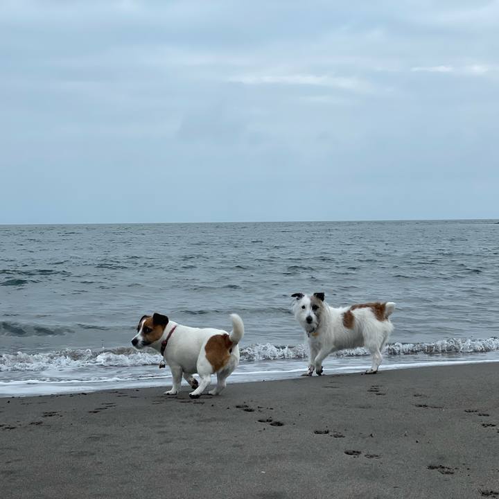 3ed476d1 36b6 43bc afc2 9466d70b2629 1711842661456