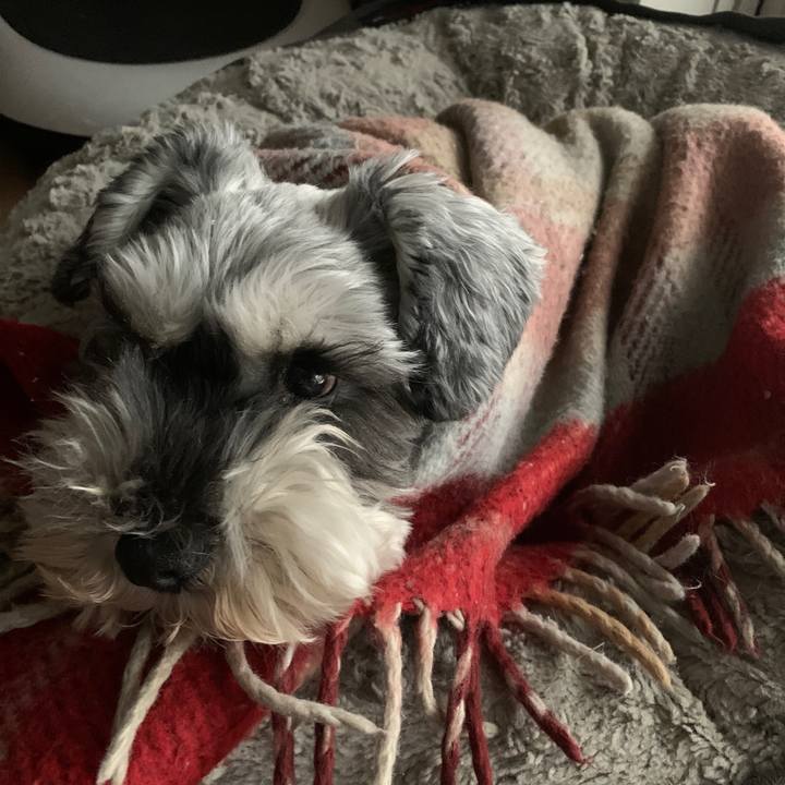 3ed4c12f 50d3 4b3e a92c 573a3e809dff 1668918738947