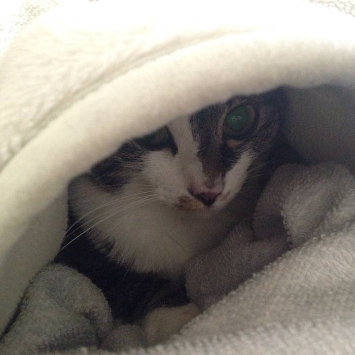 3ed4c2b7 eb6d 4c57 83f6 0b715e5aa27e 1508210930210