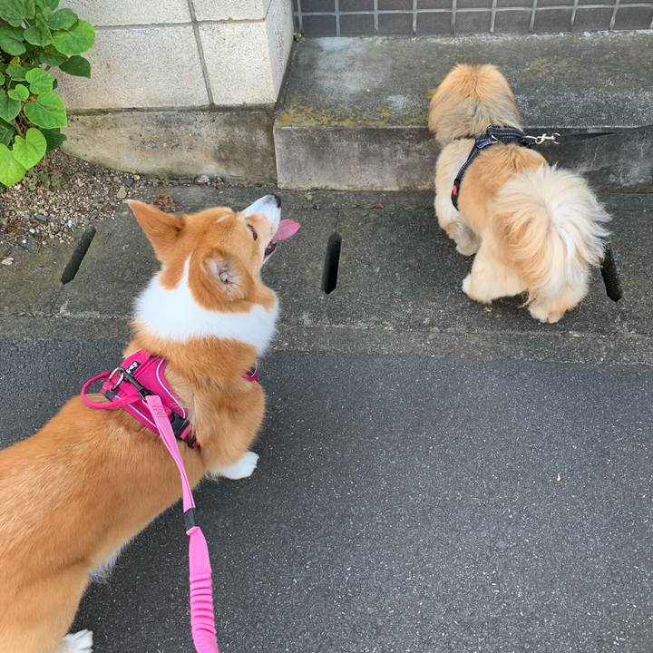 3ed53cbd cd55 4001 bde5 4253f3142fcf 1630280189698