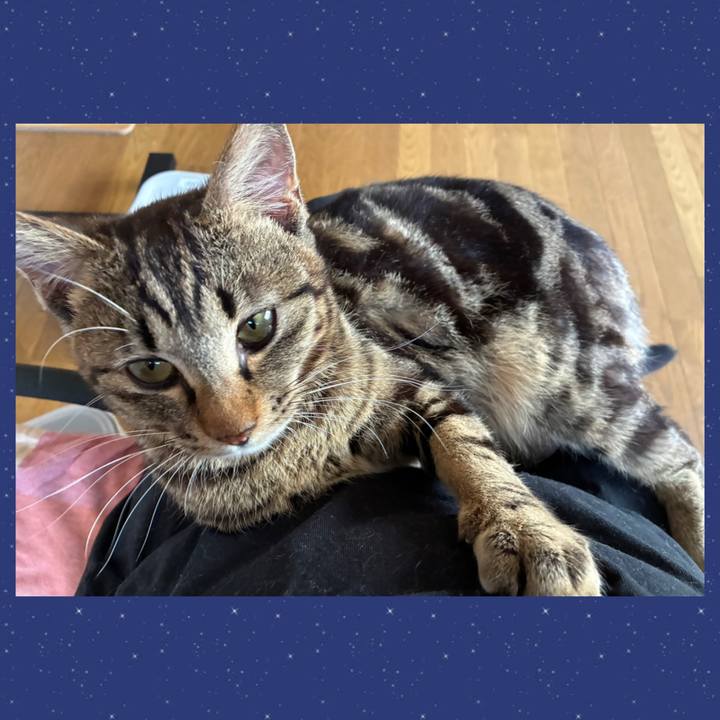 3ed53da6 b698 4e6f b9b1 4a5f8259e322 1750151612764