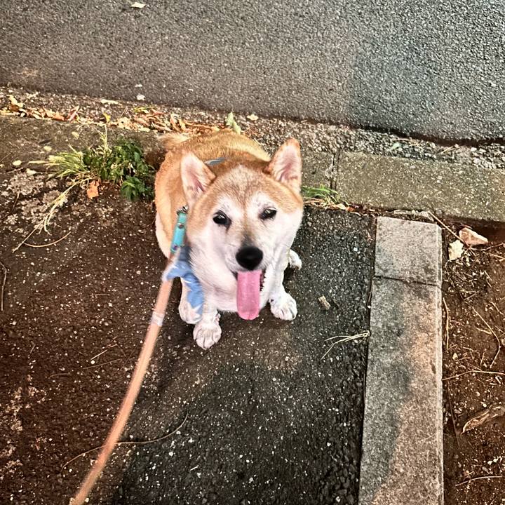 3ed56a75 64c3 44cb b31d 96681681c3d2 1756204897506