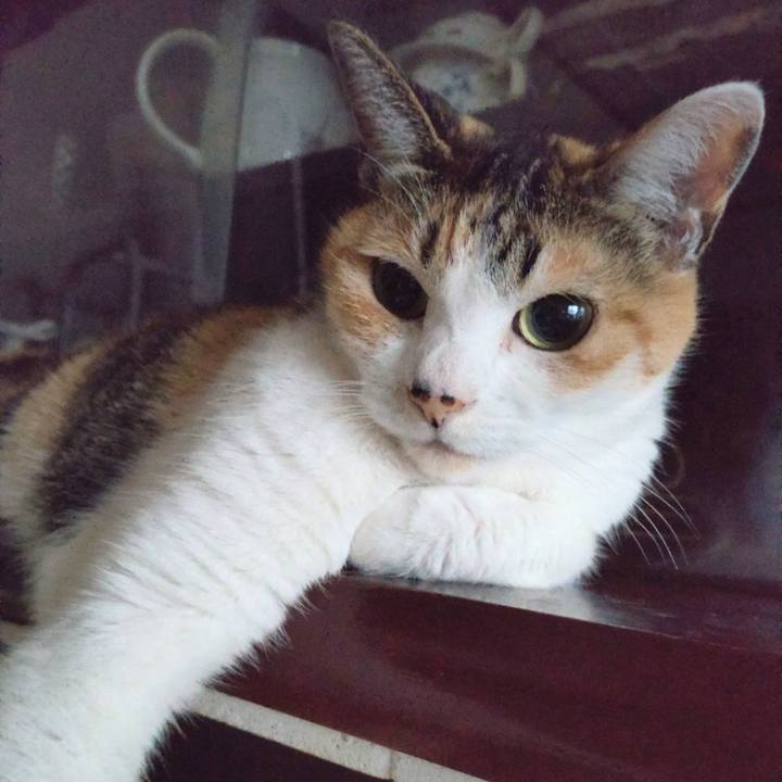 3ed59efc 31e8 4cba bfba 62f4f4163f13 1666478717872