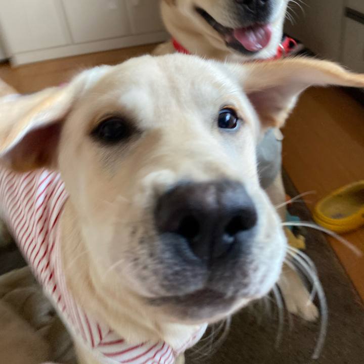 3ed59f46 a6c8 47b4 a895 45a8268d9e67 1618709136252