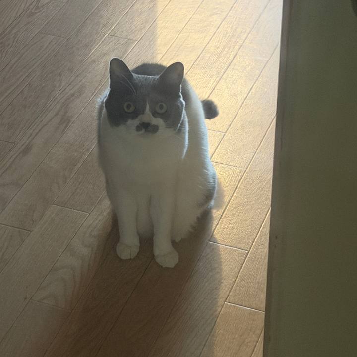 3ed5b5c3 511e 4d1b a30a 0c2a48904e42 1774253439473