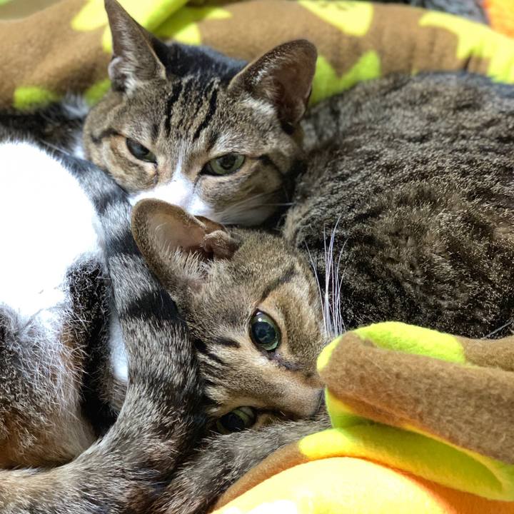 3ed5b82a d8e3 4e79 b334 9fc9263942b1 1575162723736