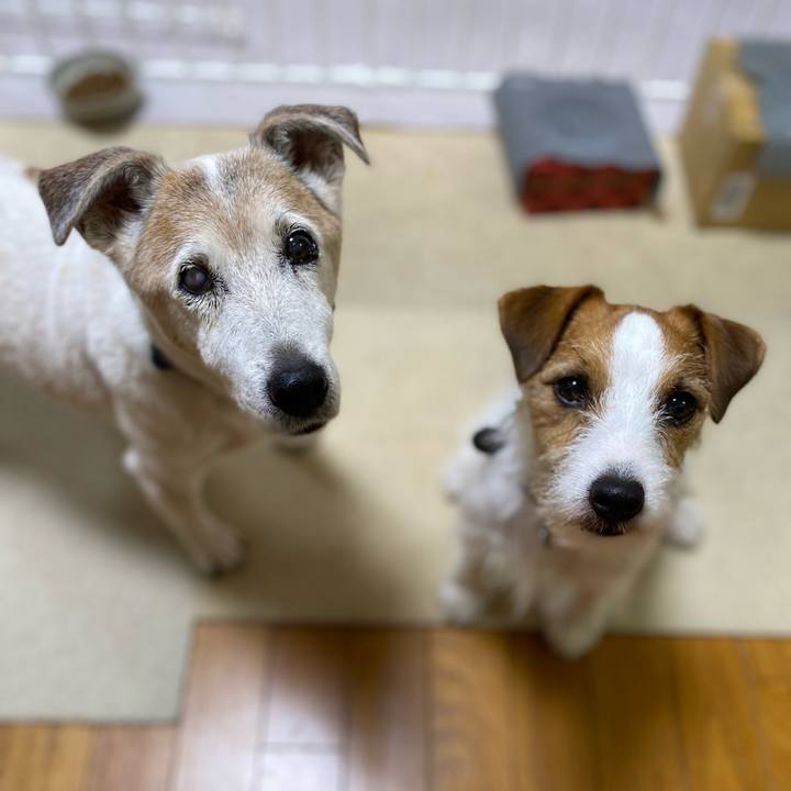 3ed5f151 d2d6 4c61 a6dc 95257f4d1d38 1687089353440