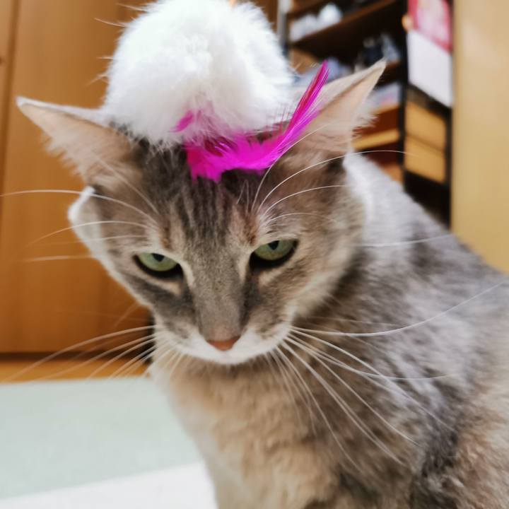 3ed63909 7936 4e99 93d8 26dbe45b7998 1644469404385