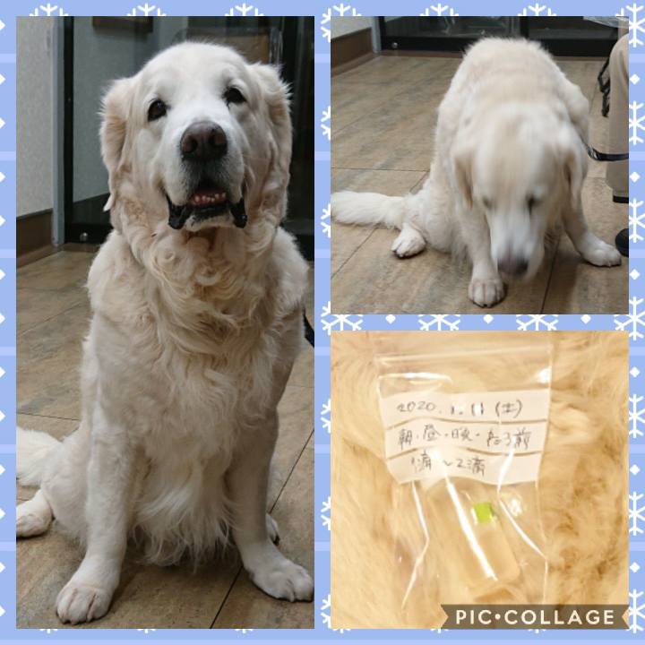 3ed660ed 8f9a 4185 a551 ce259ae63993 1578755413999