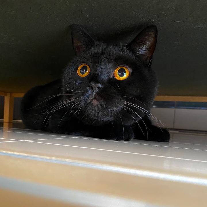 3ed665b0 a984 4775 b50c 2b6af2052a5a 1601766911871