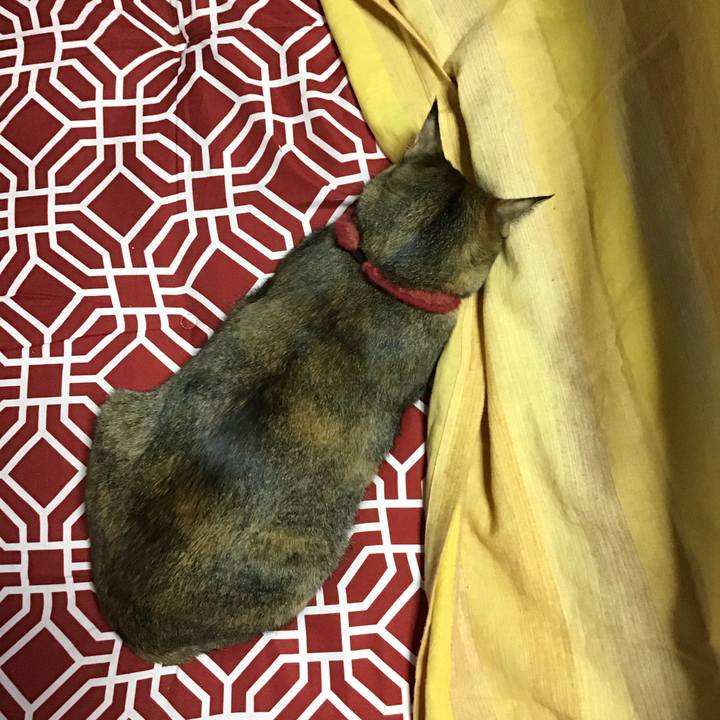 3ed6809d 13ba 45c0 bd5e 8a3805e5b2e5 1611383580273