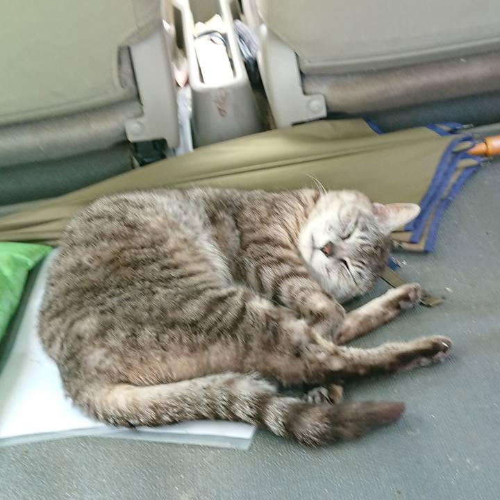 3ed69116 0fab 4ced 994d a6ad03412a90 1562992846717