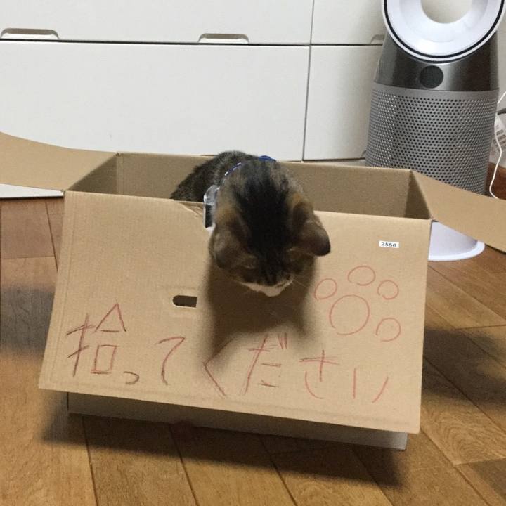 3ed6a32b c619 4bf0 9415 4b978da9723a 1582839876307