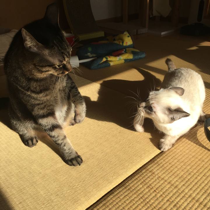 3ed6b723 381a 4864 aeda aab140982004 1540596474512