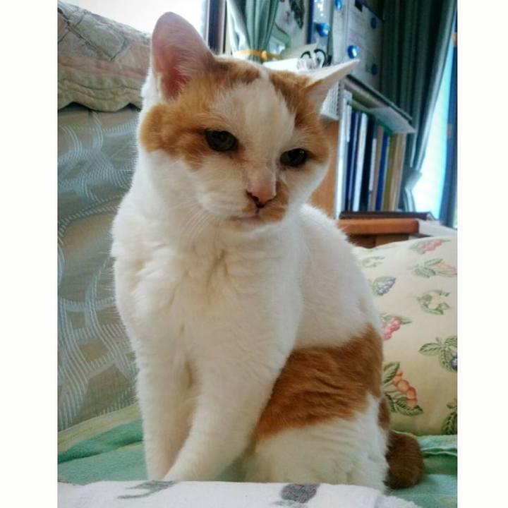 3ed6ec93 0e72 46ab 8a69 7cde0d5ecdfe 1531457012128