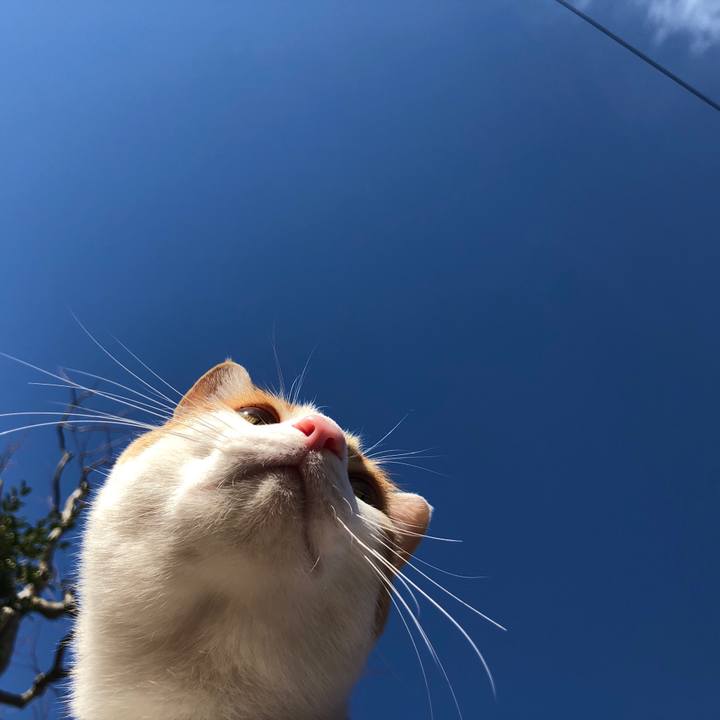 3ed70301 105c 4b4c 833c 6a8dbfa5048a 1542516209699