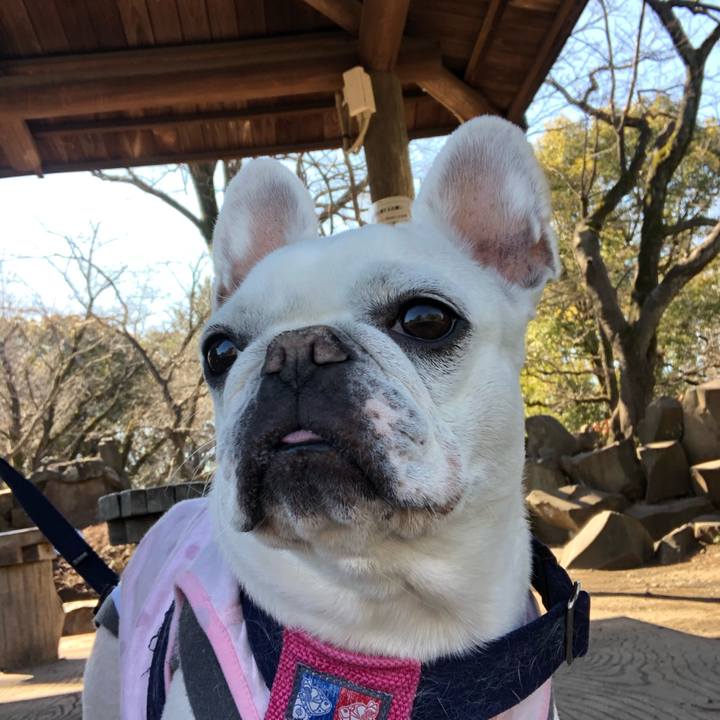 3ed7039b 12f4 47c5 84b4 4c07bf45286c 1613798738172