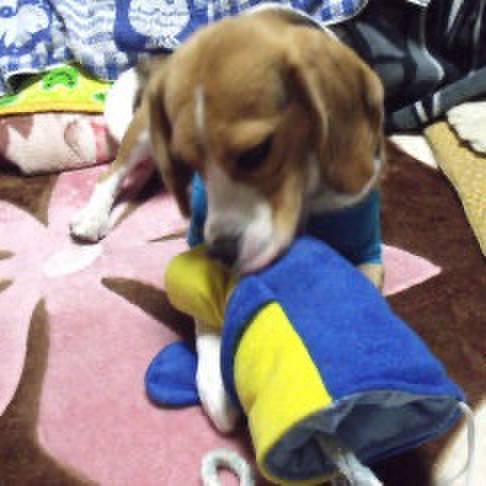 3ed718b0 b8d6 4b43 943d 668db8de6dcc 1705797113683