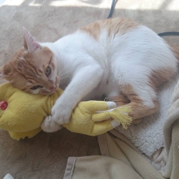 3ed74369 90f5 4ce3 8eac f13cdfbdcc76 1555155535933