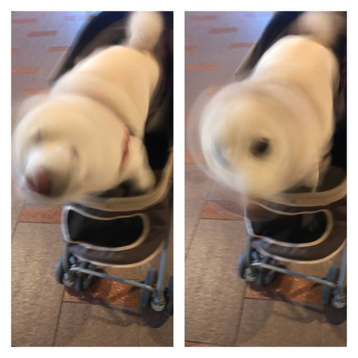 3ed7655c 50f7 44bb 868f e3d9932f3016 1518004025322